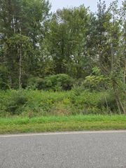 V/L Shay Lake Rd, Dayton Township, MI 48219