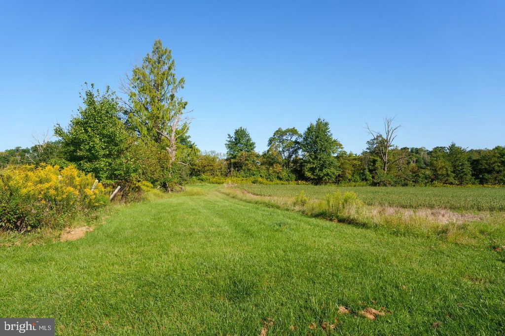 78 ROCKTOWN RD, RINGOES, NJ 08551 — photo 5