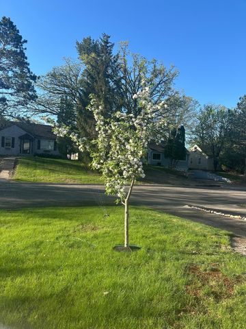 7516 North Street, Saint Louis Park, MN 55426