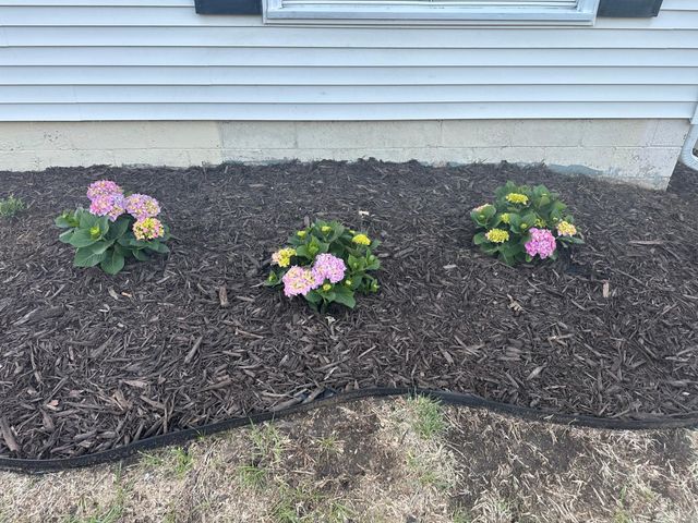 7516 North Street, Saint Louis Park, MN 55426