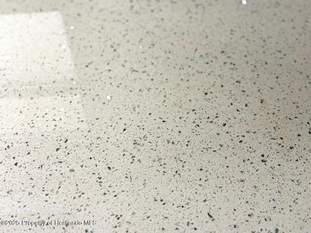 7363 Eastern Circle Drive, Brooksville, FL 34613