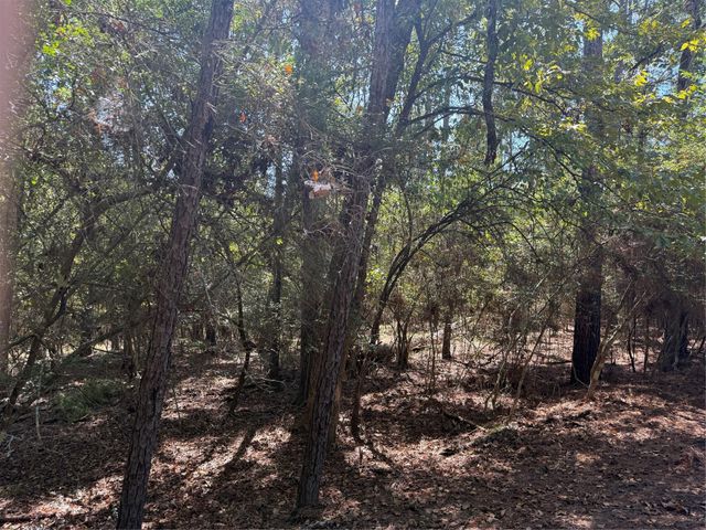 TBD Poland Spring Court, Huntsville, TX 77320
