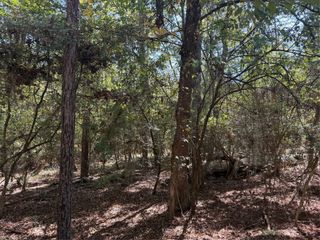 TBD Poland Spring Court, Huntsville, TX 77320