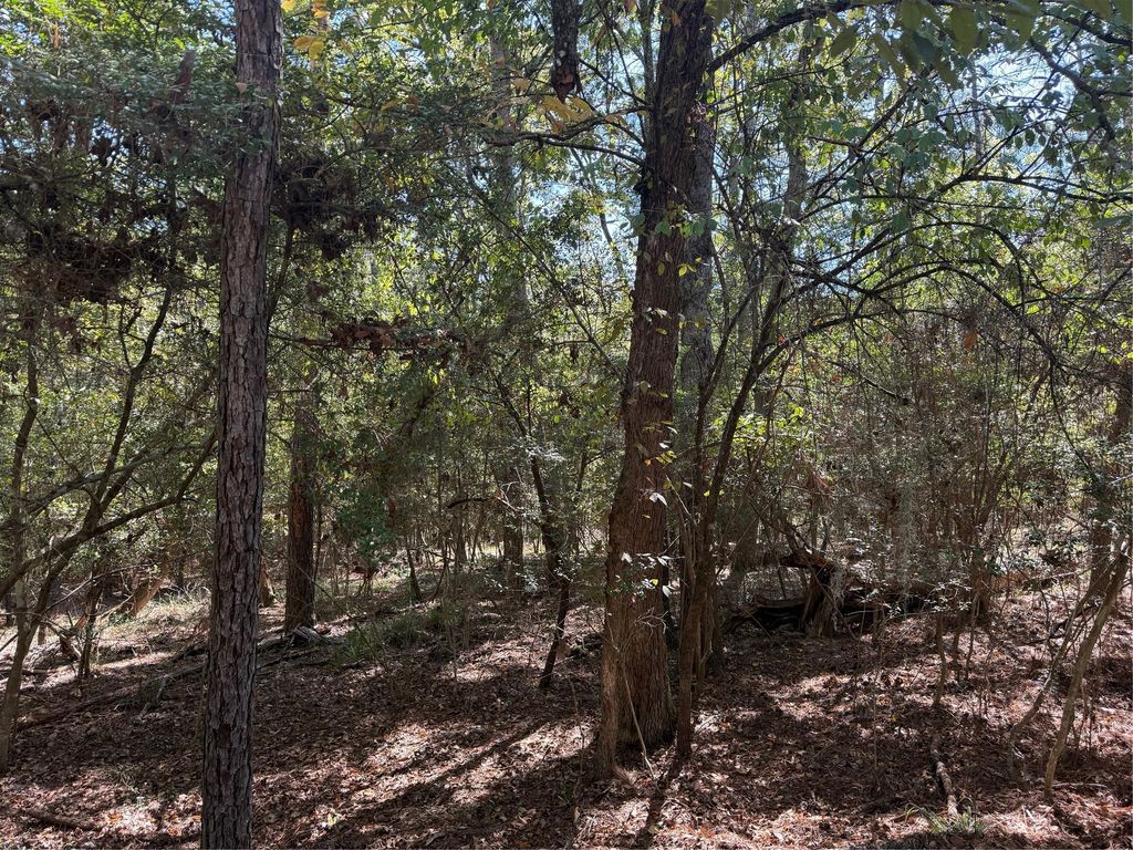 TBD Poland Spring Court, Huntsville, TX 77320