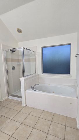 21038 Narrow Gate Drive, Houston, TX 77095