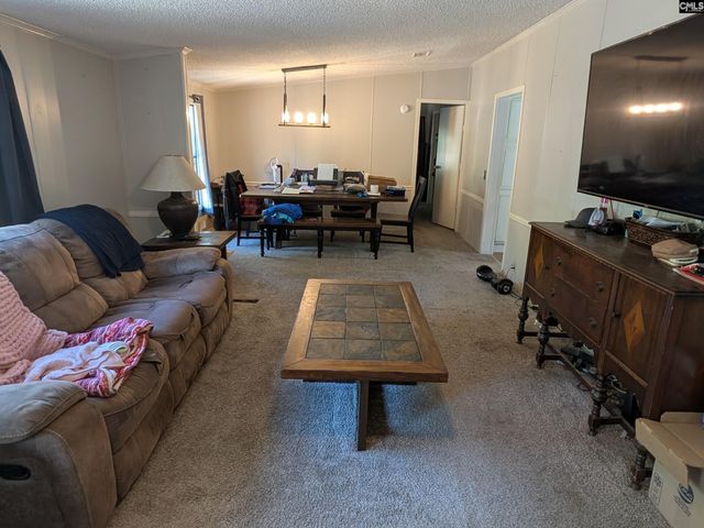 129 Three Pond Lane, Lexington, SC 29073
