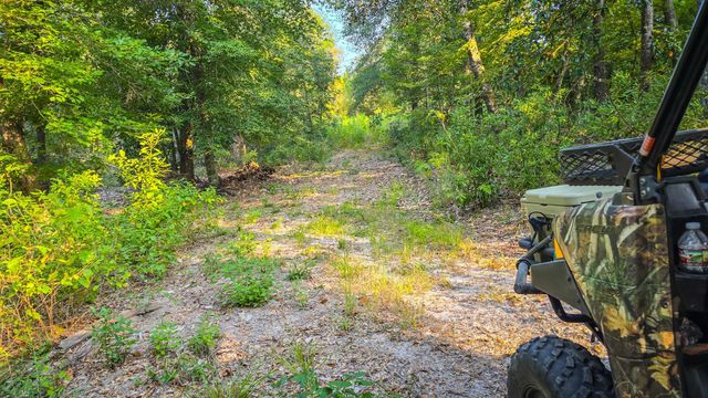 TBD Butler Road, Livingston, TX 77351