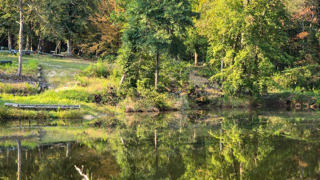 TBD Butler Road, Livingston, TX 77351