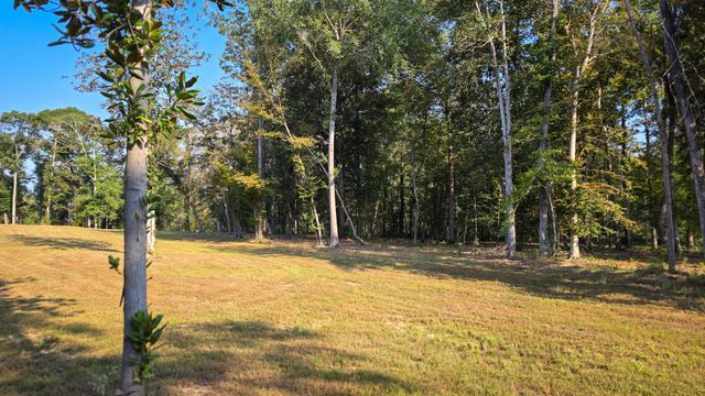 TBD Butler Road, Livingston, TX 77351