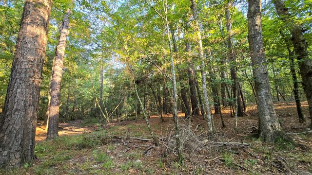 TBD Butler Road, Livingston, TX 77351