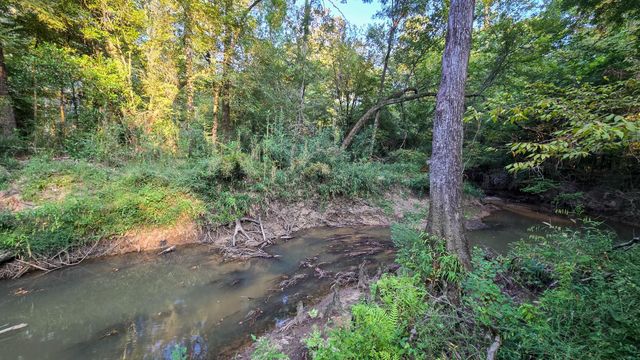 TBD Butler Road, Livingston, TX 77351