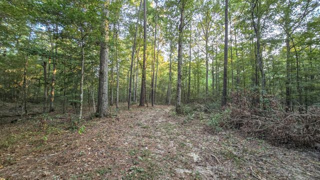 TBD Butler Road, Livingston, TX 77351