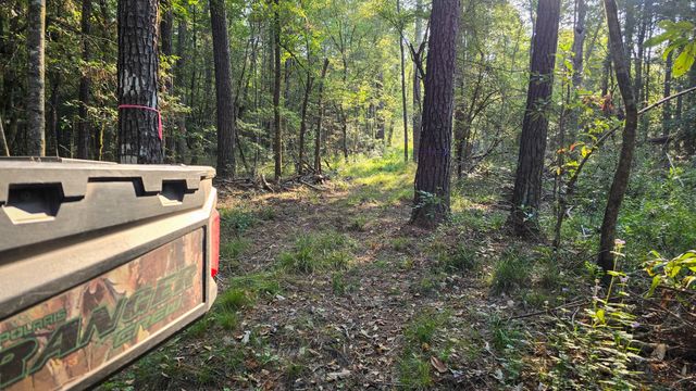 TBD Butler Road, Livingston, TX 77351