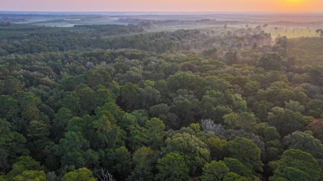 TBD Butler Road, Livingston, TX 77351