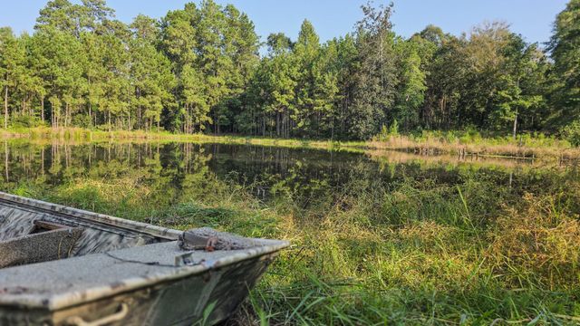 TBD Butler Road, Livingston, TX 77351