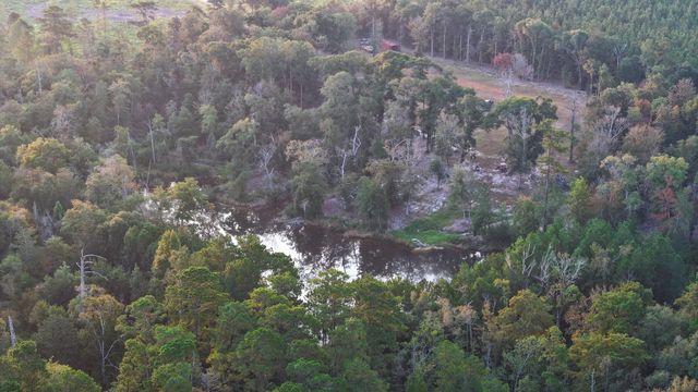 TBD Butler Road, Livingston, TX 77351