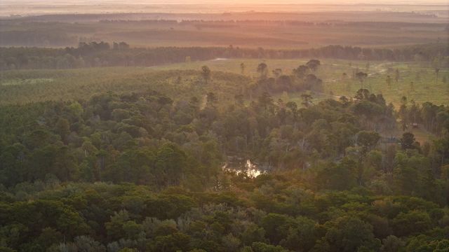 TBD Butler Road, Livingston, TX 77351