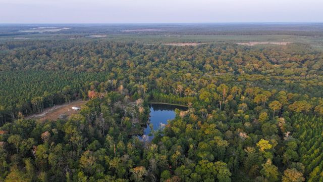 TBD Butler Road, Livingston, TX 77351