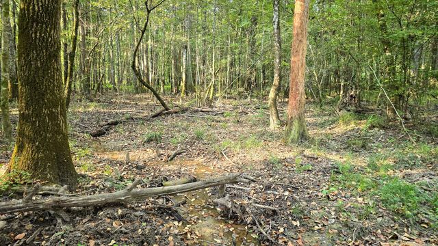 TBD Butler Road, Livingston, TX 77351