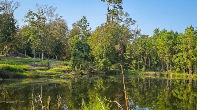 TBD Butler Road, Livingston, TX 77351