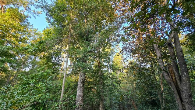 TBD Butler Road, Livingston, TX 77351