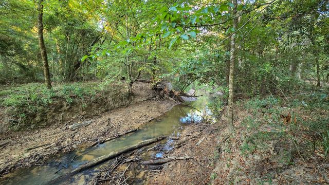 TBD Butler Road, Livingston, TX 77351