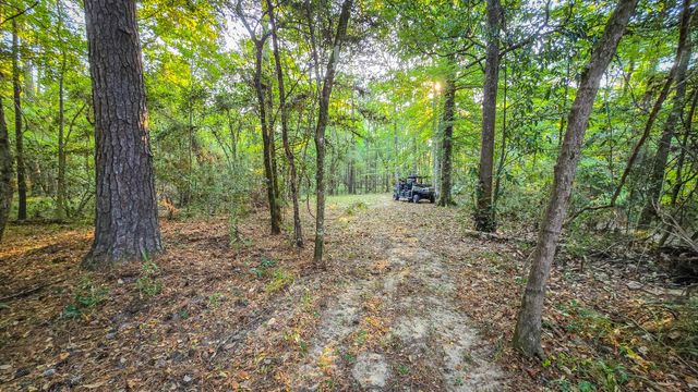 TBD Butler Road, Livingston, TX 77351