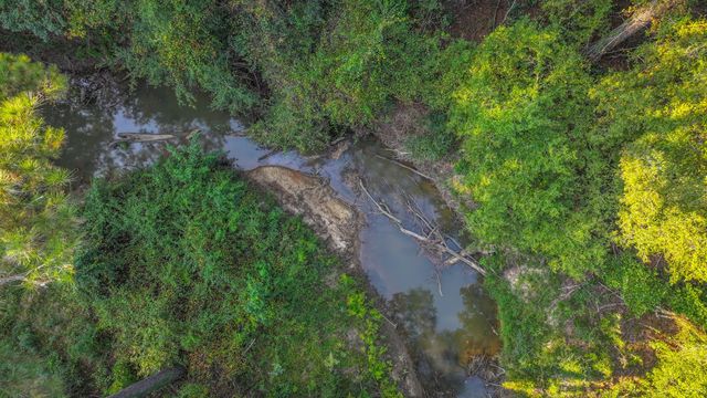 TBD Butler Road, Livingston, TX 77351