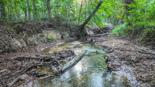 TBD Butler Road, Livingston, TX 77351