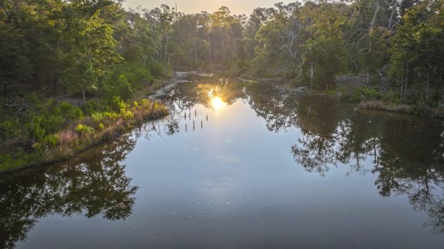 TBD Butler Road, Livingston, TX 77351