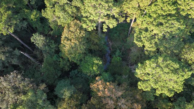 TBD Butler Road, Livingston, TX 77351