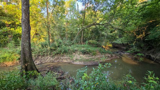 TBD Butler Road, Livingston, TX 77351