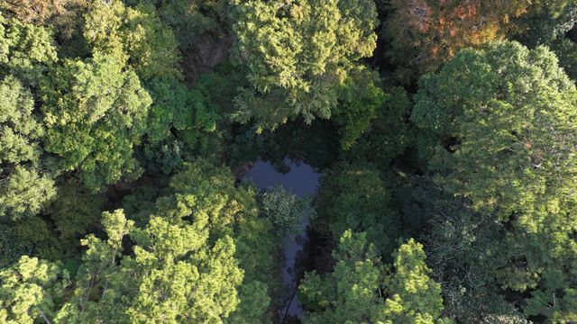 TBD Butler Road, Livingston, TX 77351