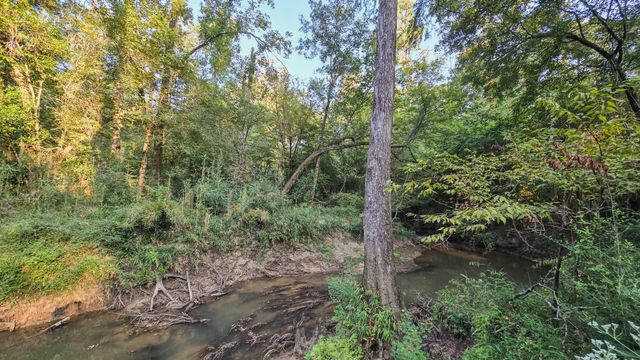 TBD Butler Road, Livingston, TX 77351