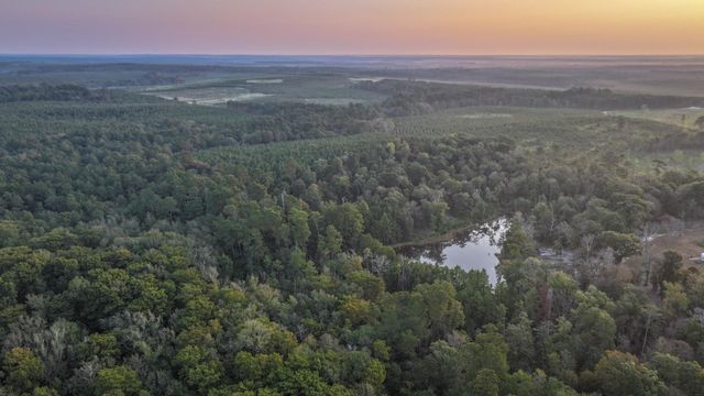 TBD Butler Road, Livingston, TX 77351