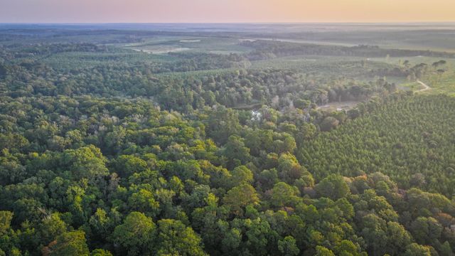 TBD Butler Road, Livingston, TX 77351