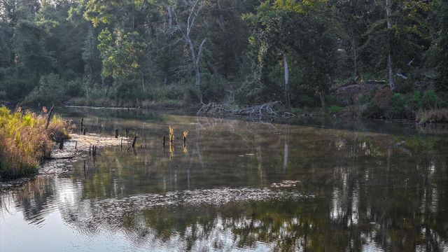 TBD Butler Road, Livingston, TX 77351