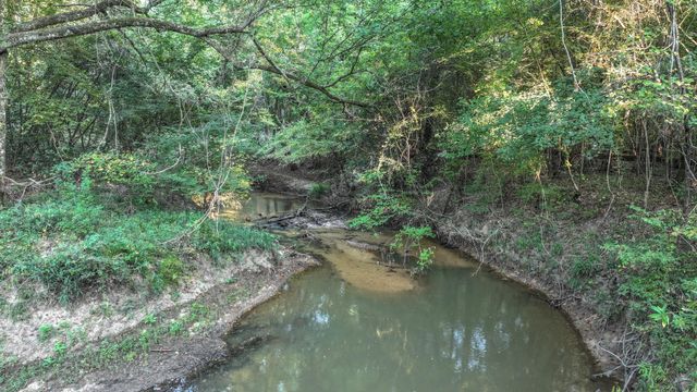 TBD Butler Road, Livingston, TX 77351