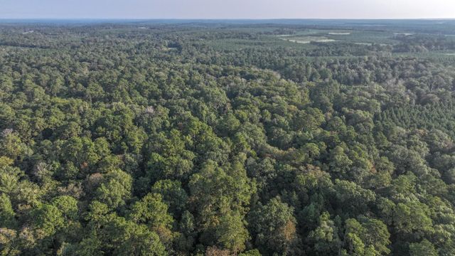 TBD Butler Road, Livingston, TX 77351