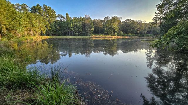 TBD Butler Road, Livingston, TX 77351