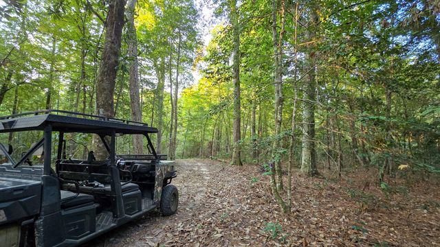 TBD Butler Road, Livingston, TX 77351