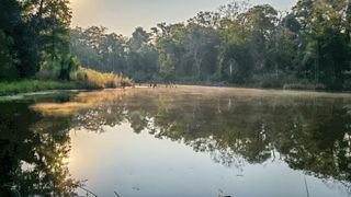 TBD Butler Road, Livingston, TX 77351