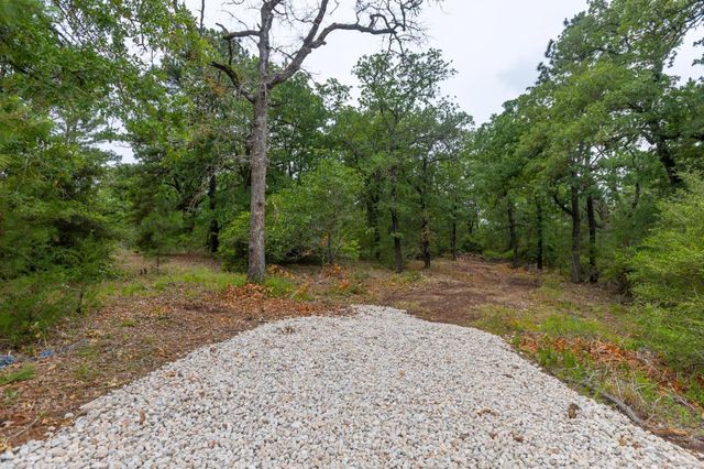 492 S Old Potato RD, Paige, TX 78659