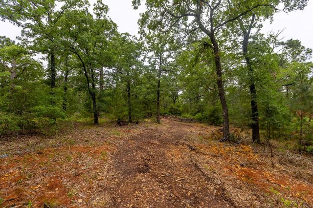 492 S Old Potato RD, Paige, TX 78659