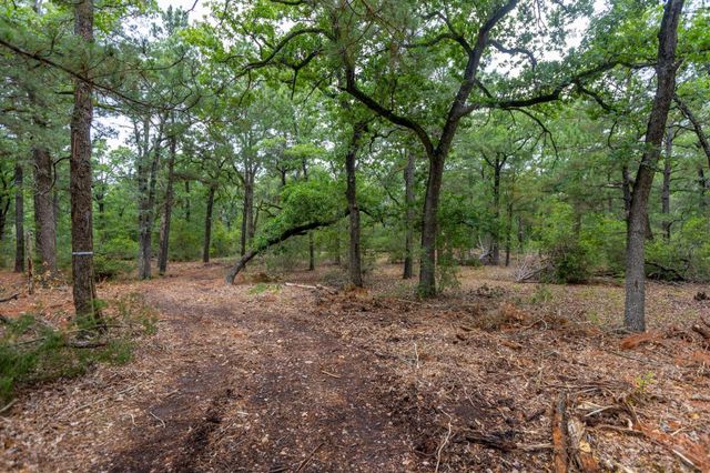 492 S Old Potato RD, Paige, TX 78659