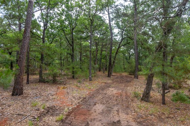 492 S Old Potato RD, Paige, TX 78659