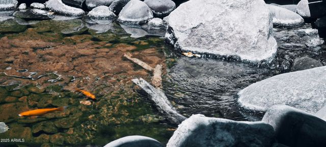 136 E DESERT WIND Drive, Phoenix, AZ 85048