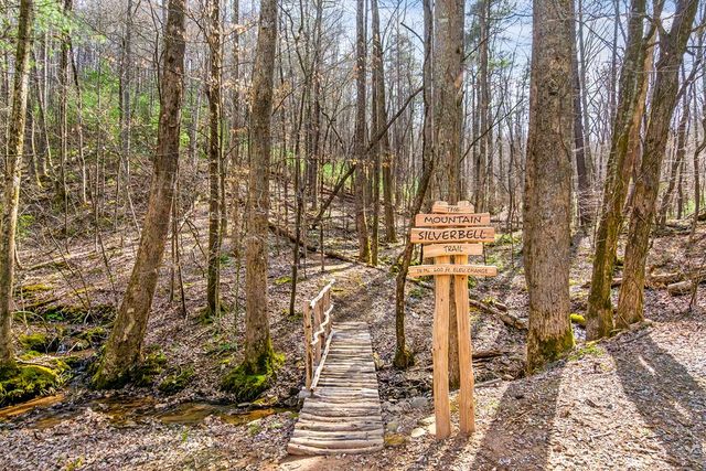 705 Laurel Ridge Drive, Ellijay, GA 30536