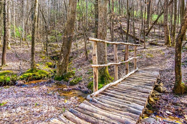 705 Laurel Ridge Drive, Ellijay, GA 30536