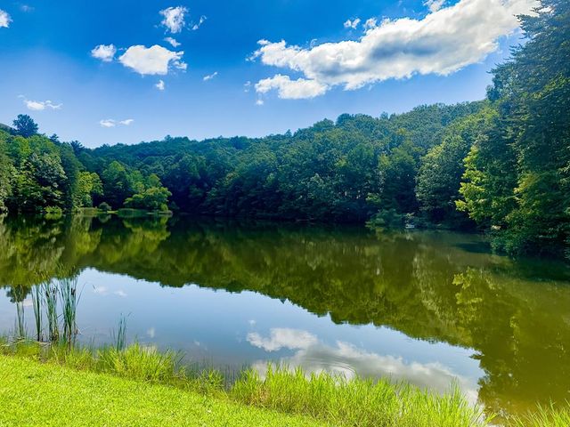 705 Laurel Ridge Drive, Ellijay, GA 30536